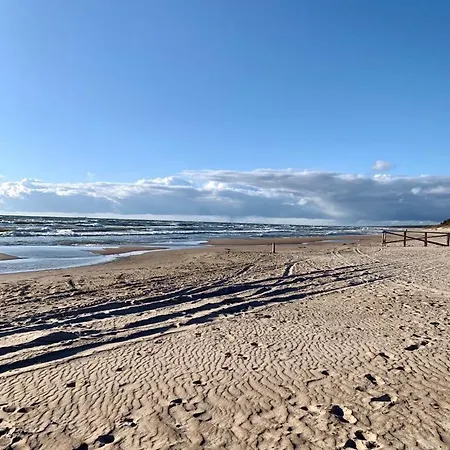 Kunni 1.0 * Palanga