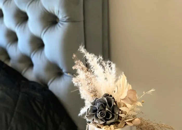 Kunni 1.0 פלאנגה