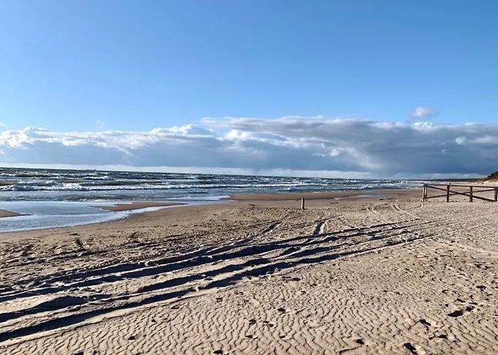 Kunni 1.0 * פלאנגה